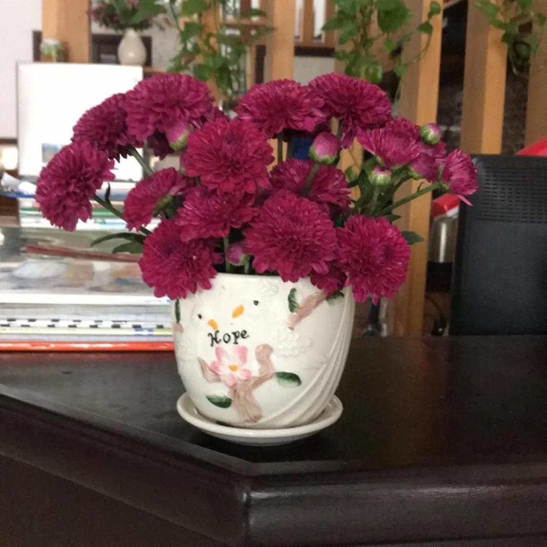 Miss Ten Homestay Hoi An